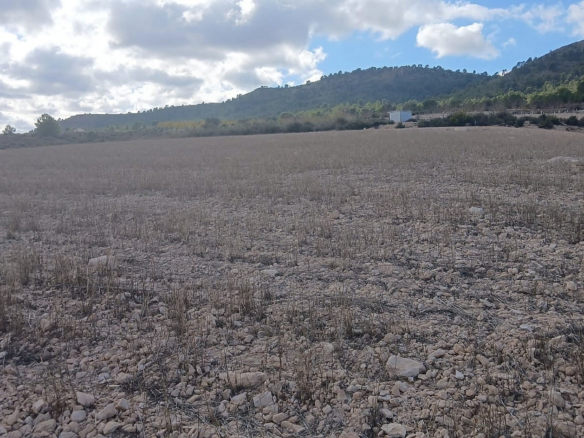 Land In Yecla, Spain (110.312 M² Plot)