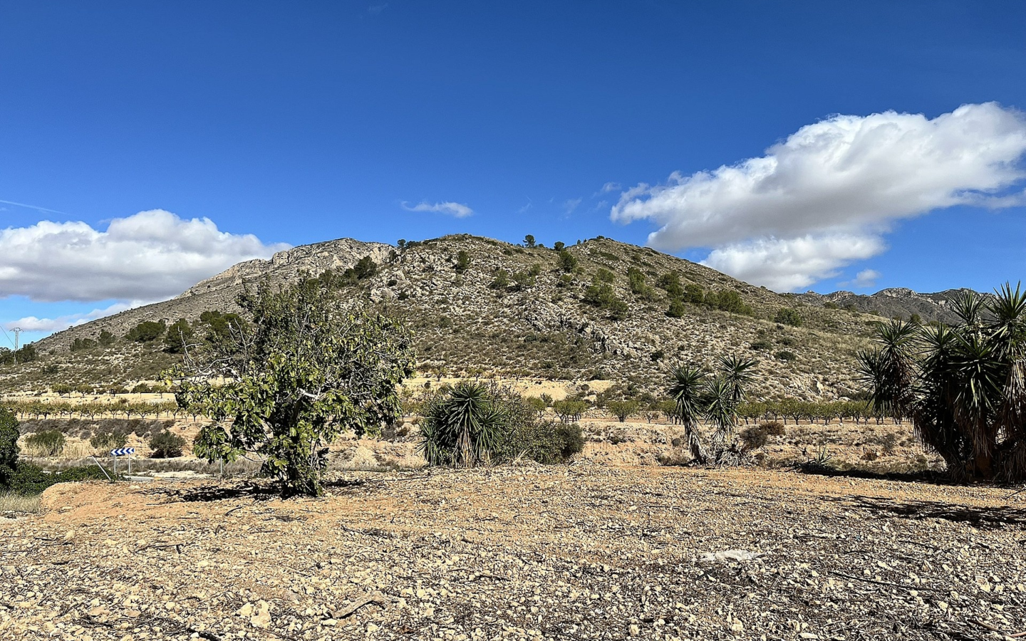 4-bedroom Country House In El Cantón, Spain (138 M²)