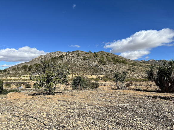 4-bedroom Country House In El Cantón, Spain (138 M²)