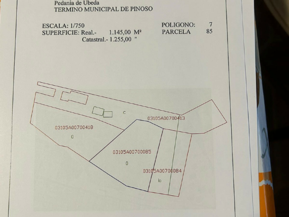 Land In Pinoso, Spain (1.160 M² Plot)