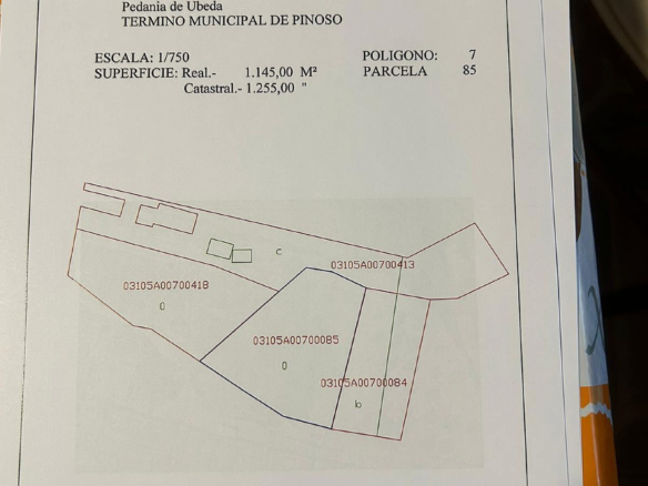 Land In Pinoso, Spain (1.160 M² Plot)
