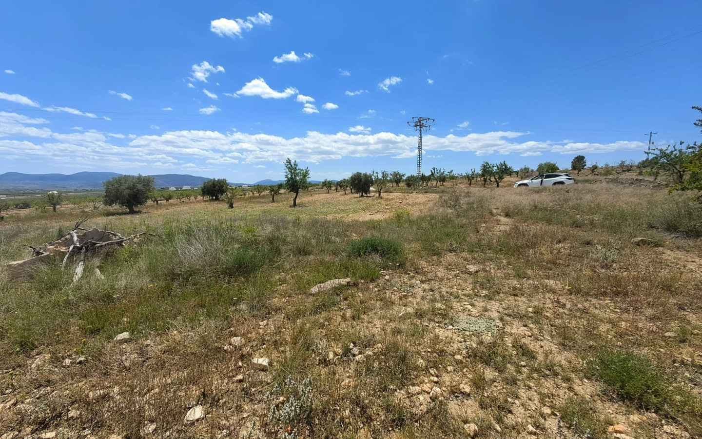 Land In Pinoso, Spain (10.000 M² Plot)