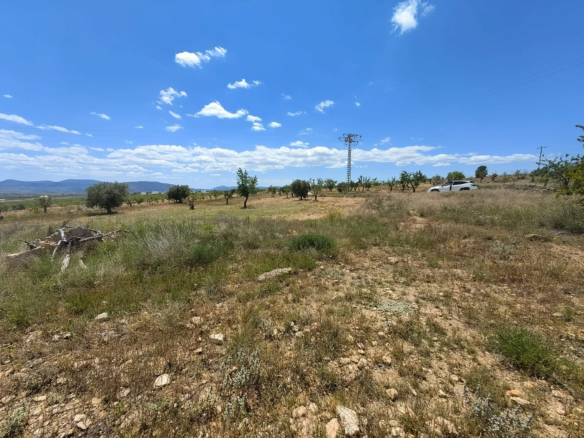 Land In Pinoso, Spain (10.000 M² Plot)