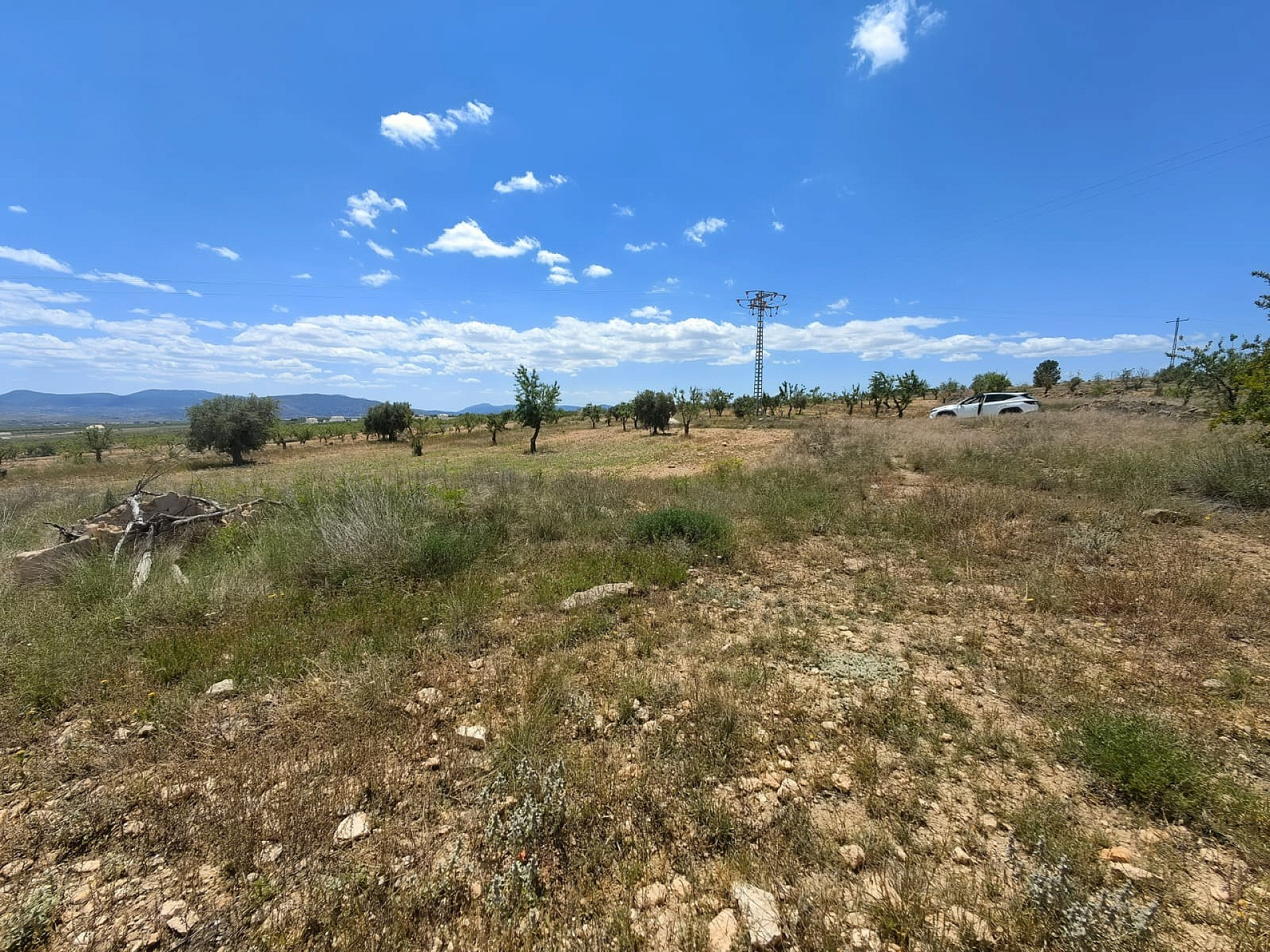 Land In Pinoso, Spain (10.000 M² Plot)