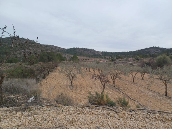 Land In La Romana, Spain (7.530 M² Plot)