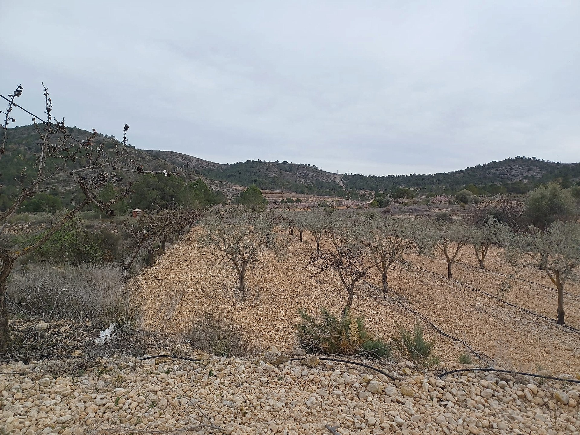 Land In La Romana, Spain (7.530 M² Plot)