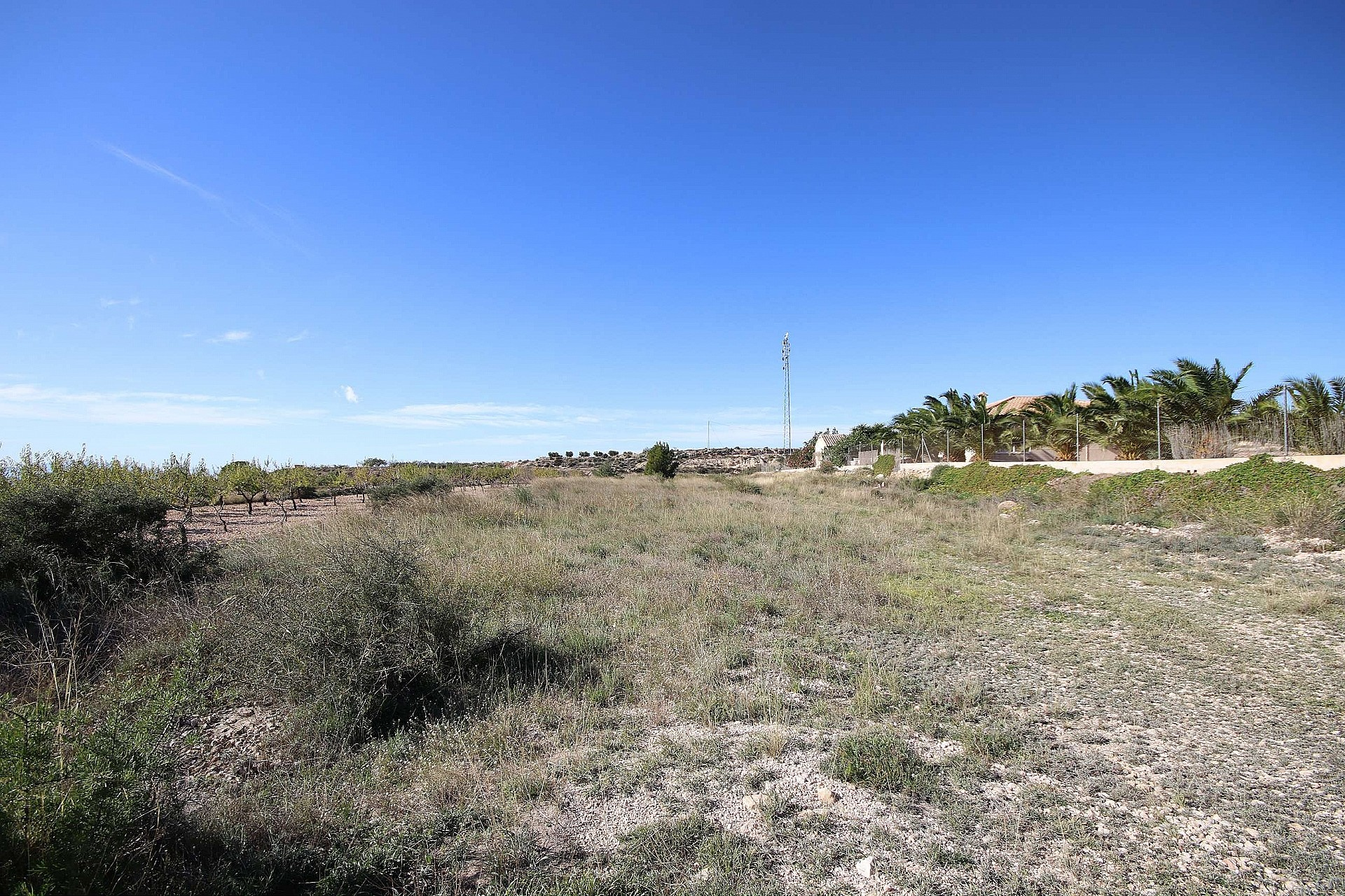 Land In Macisvenda, Spain (5.871 M² Plot)