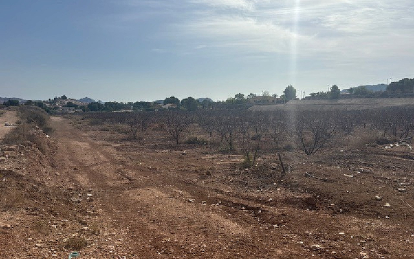 Land In Monovar, Spain (11.000 M² Plot)