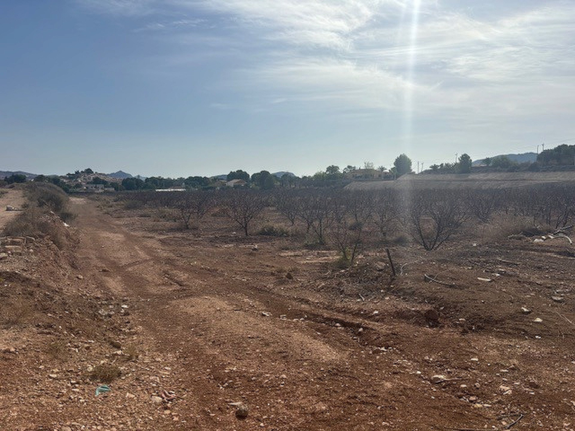 Land In Monovar, Spain (11.000 M² Plot)