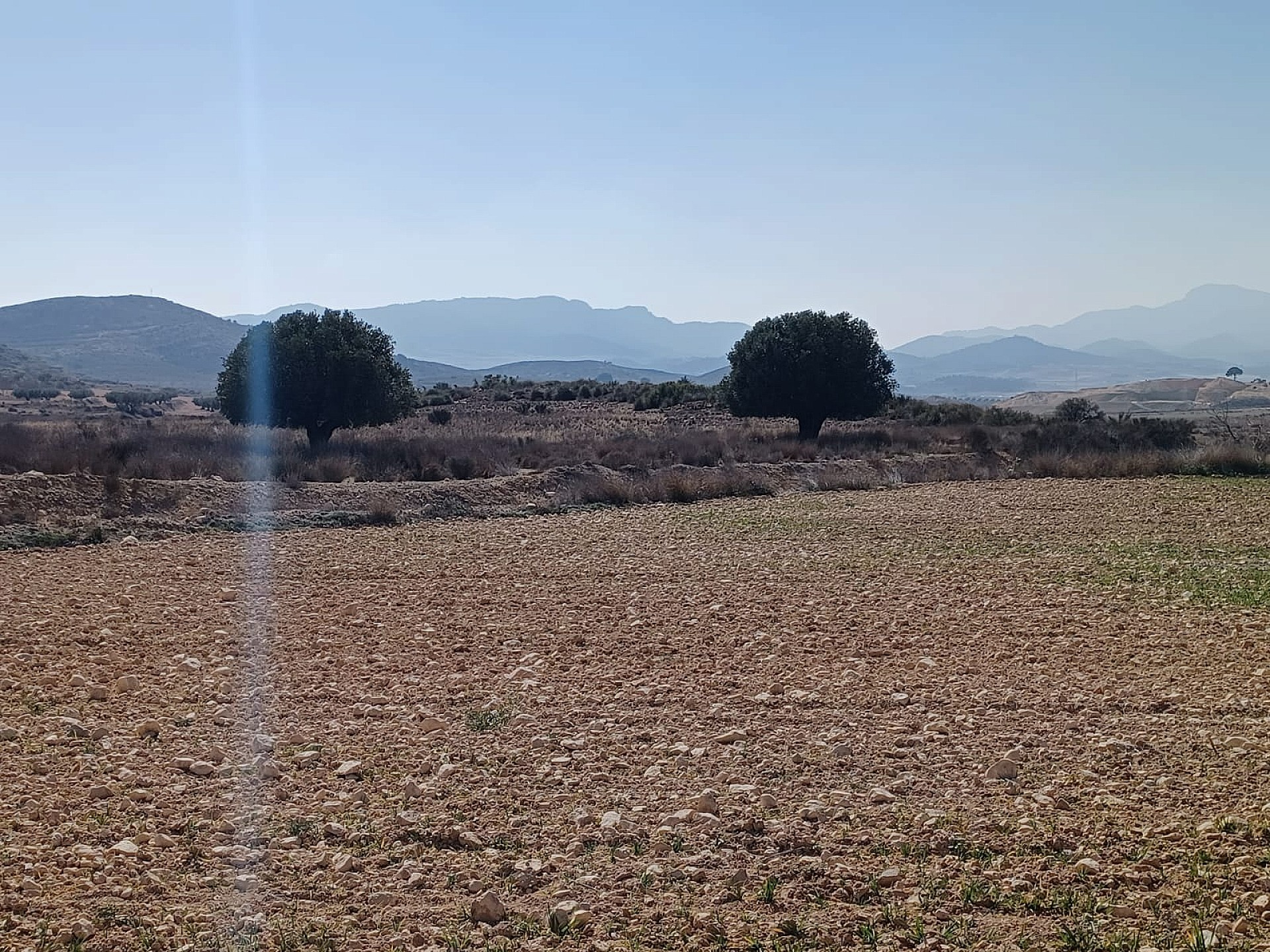 Land In Pinoso, Spain (27.000 M² Plot)
