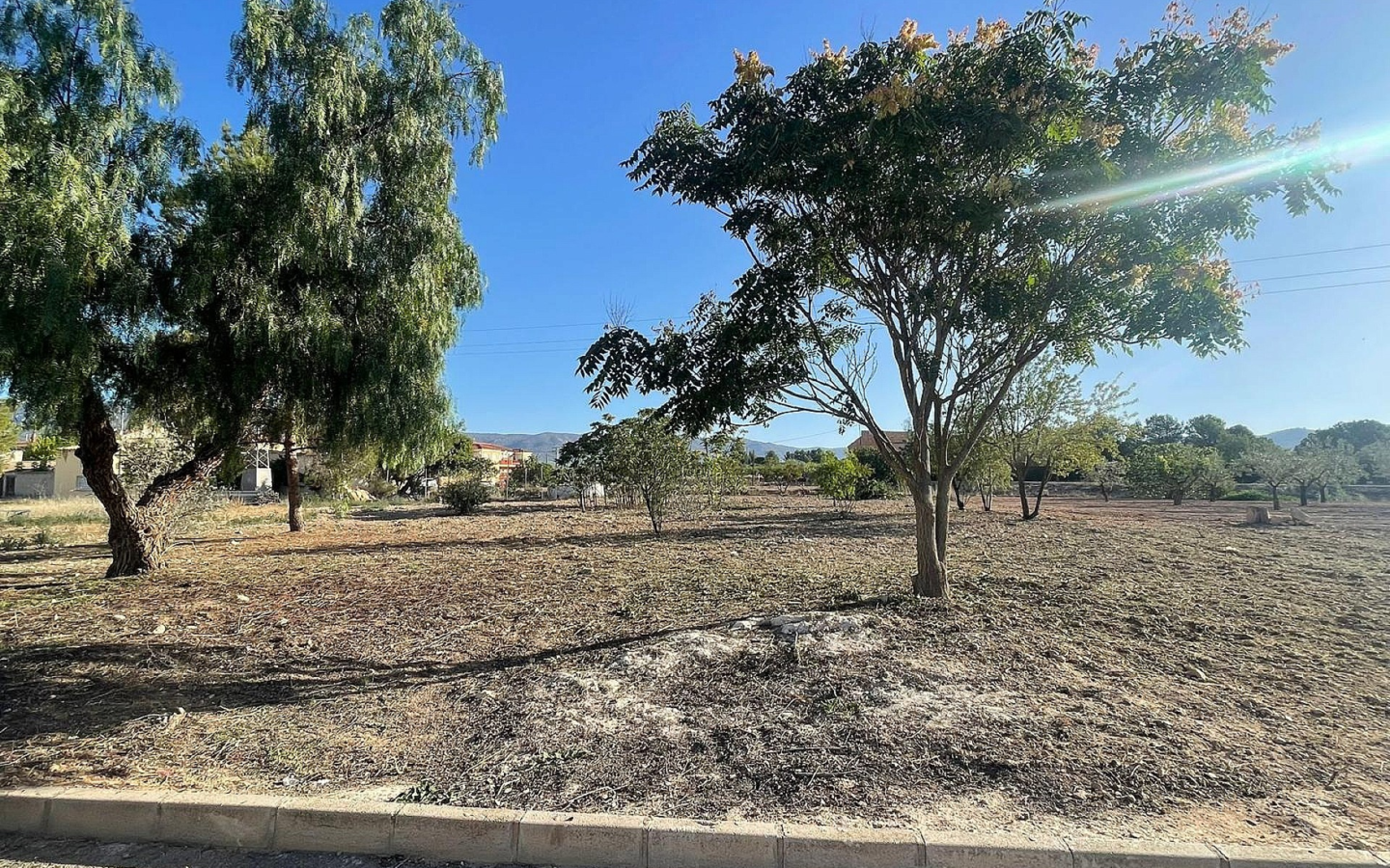 Land In Pinoso, Spain (1.160 M² Plot)