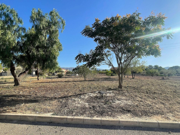 Land In Pinoso, Spain (1.160 M² Plot)