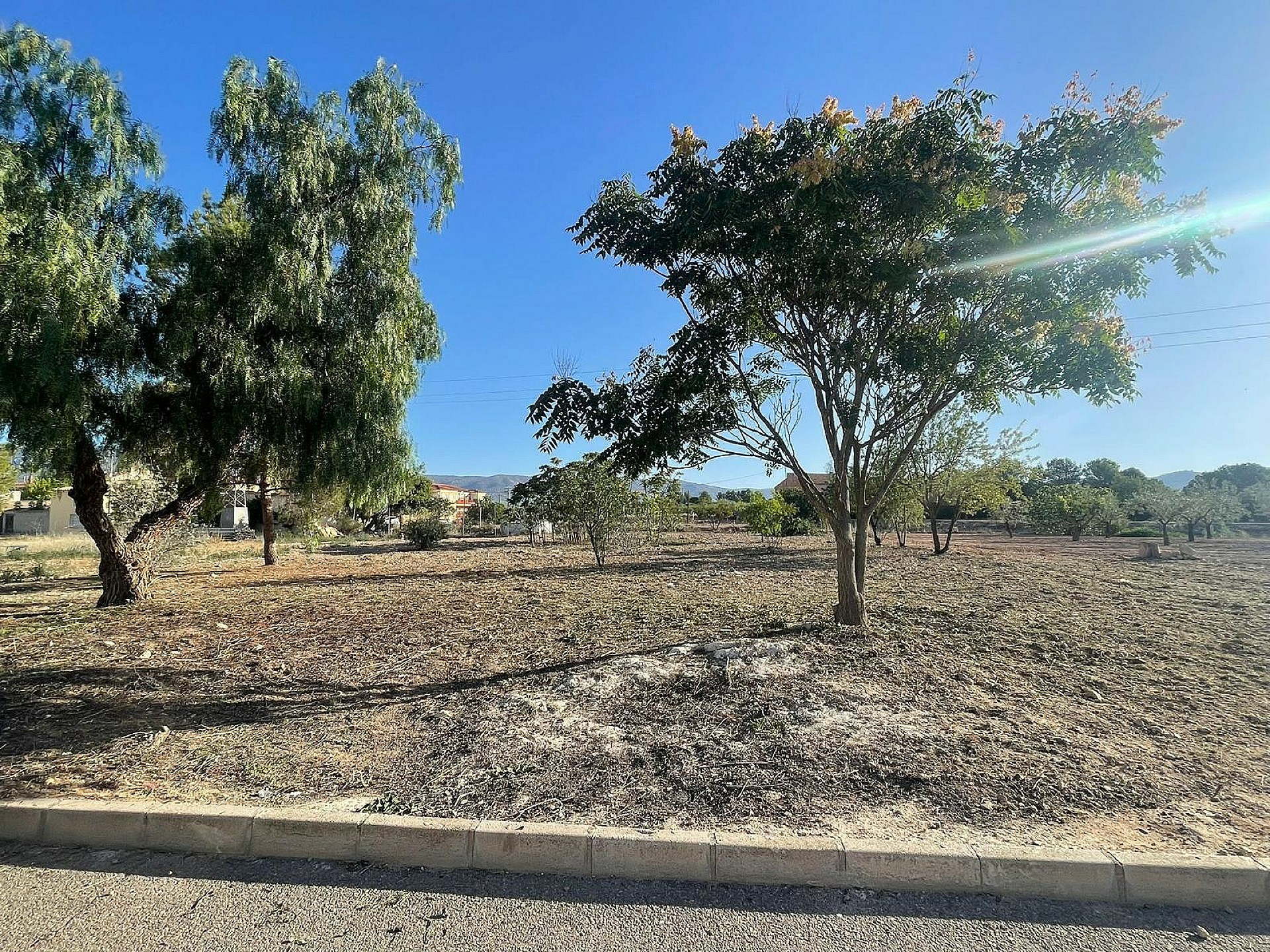 w_ofvyvccssj7nxx6pgza4-eb81e2 Land In Pinoso, Spain (1.160 M² Plot)