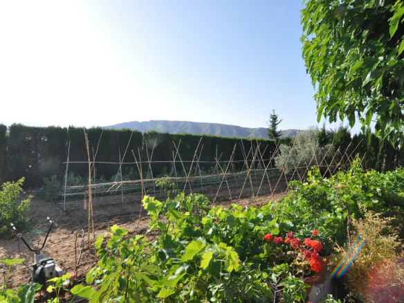4-bedroom Detached Villa In Villena, Spain (500 M²)