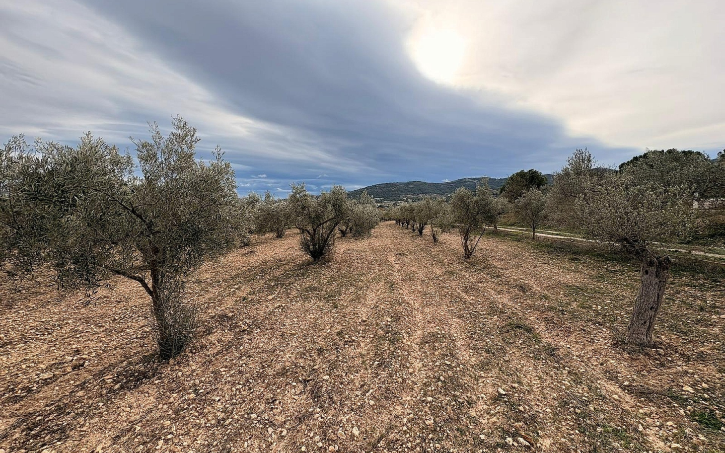 Land In Onil, Spain (8.700 M² Plot)