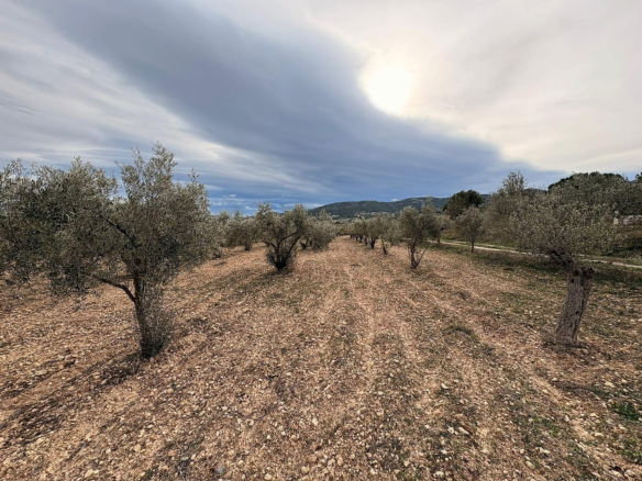 Land In Onil, Spain (8.700 M² Plot)