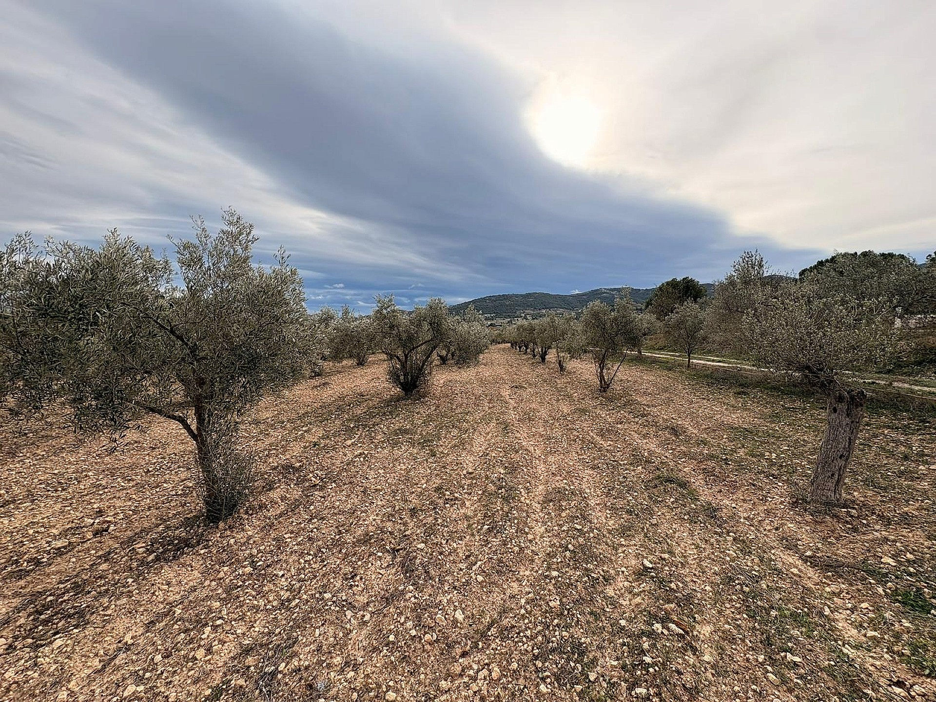 w_oy544aakj6g07quw3v2x-4f5664 Land In Onil, Spain (8.700 M² Plot)