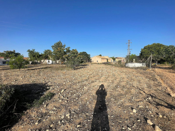 Land In Pinoso, Spain (1.160 M² Plot)