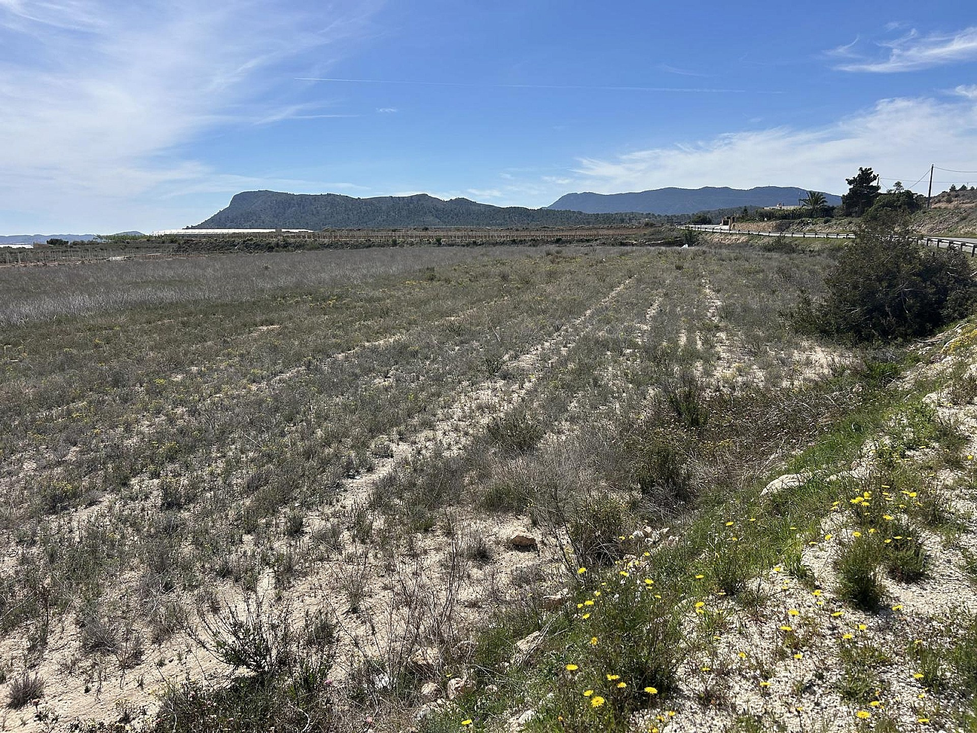 Land In Hondón De Las Nieves, Spain (15.279 M² Plot)