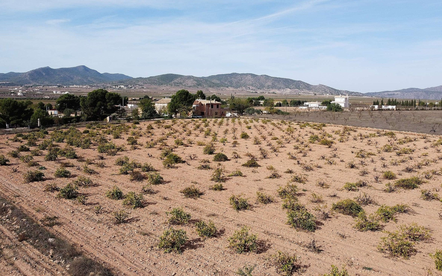 Land In Pinoso, Spain (10.000 M² Plot)