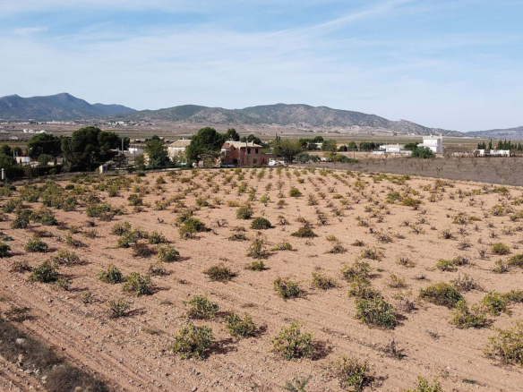 Land In Pinoso, Spain (10.000 M² Plot)