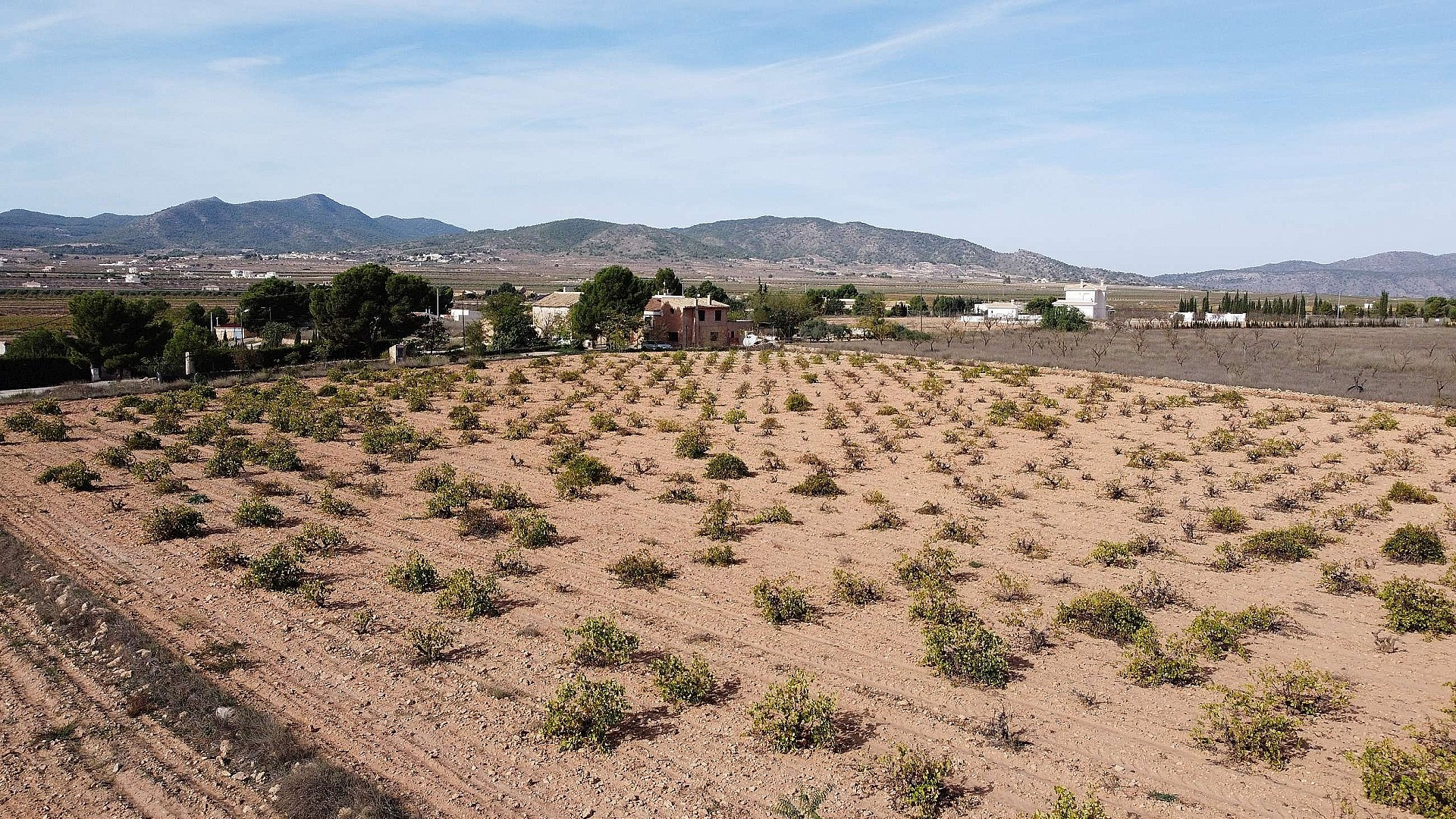 w_pcjxifajuufa6jiyt28q-3a750f Land In Pinoso, Spain (10.000 M² Plot)