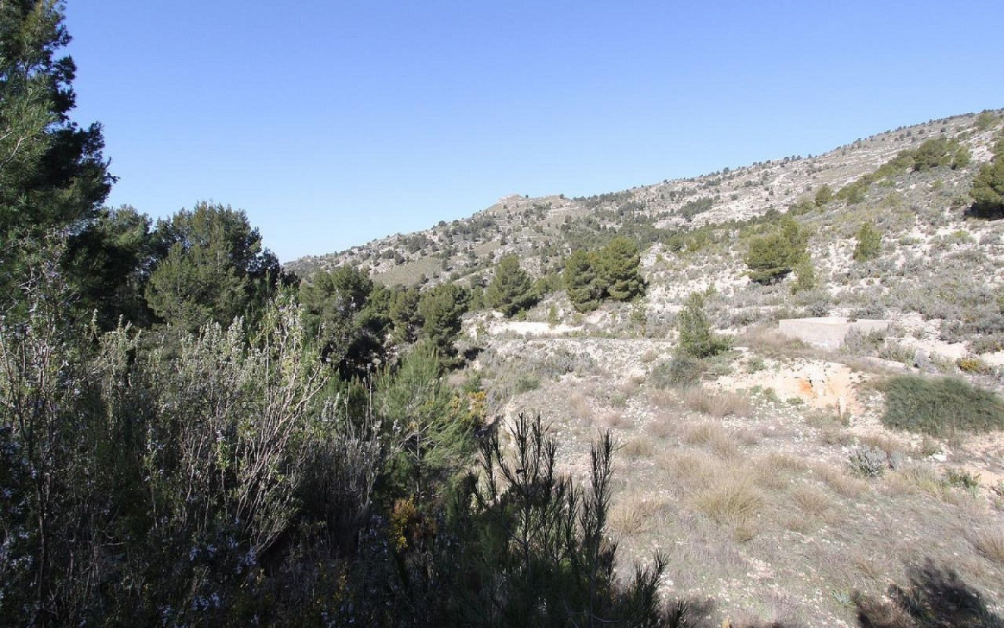 3-bedroom Detached Villa In Petrer, Spain (120 M²)