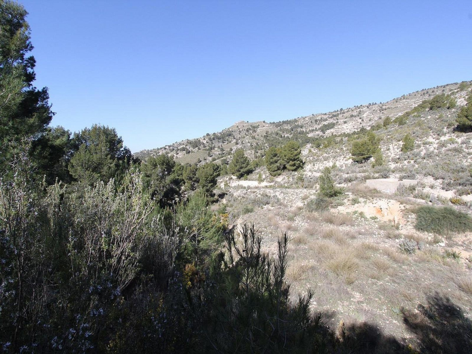 3-bedroom Detached Villa In Petrer, Spain (120 M²)