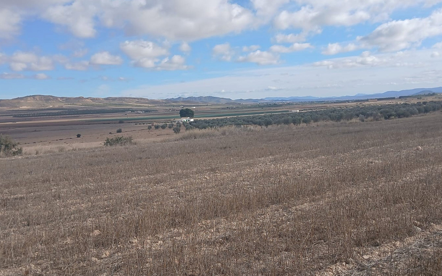 Land In Yecla, Spain (110.312 M² Plot)