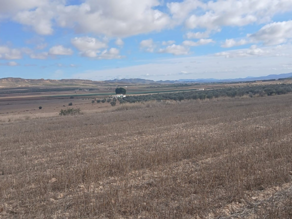 Land In Yecla, Spain (110.312 M² Plot)