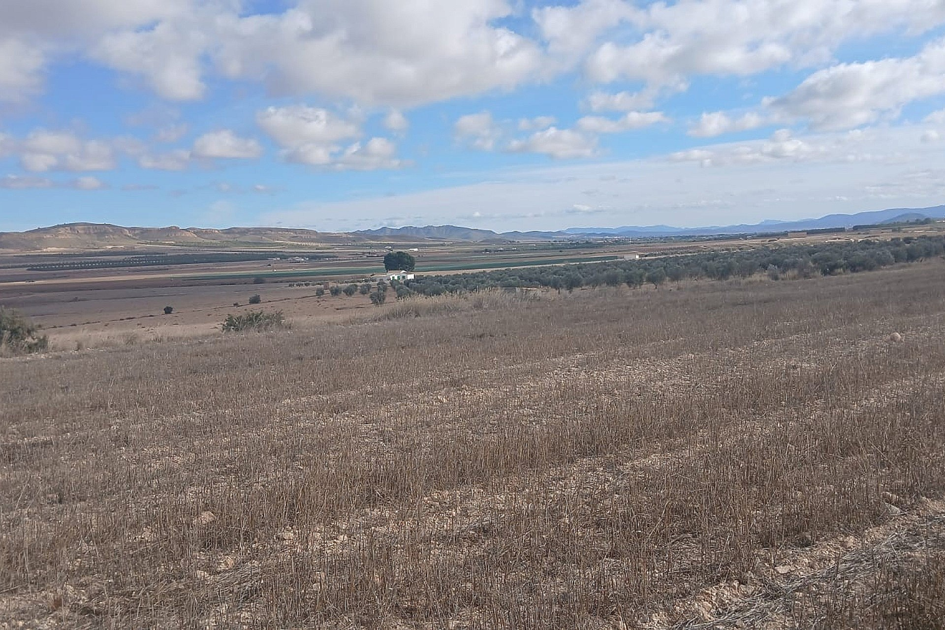 w_po8ip605ts8mzyqbxjwf-b39c76 Land In Yecla, Spain (110.312 M² Plot)