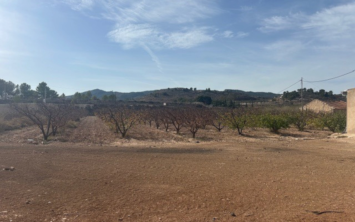Land In Monovar, Spain (11.000 M² Plot)