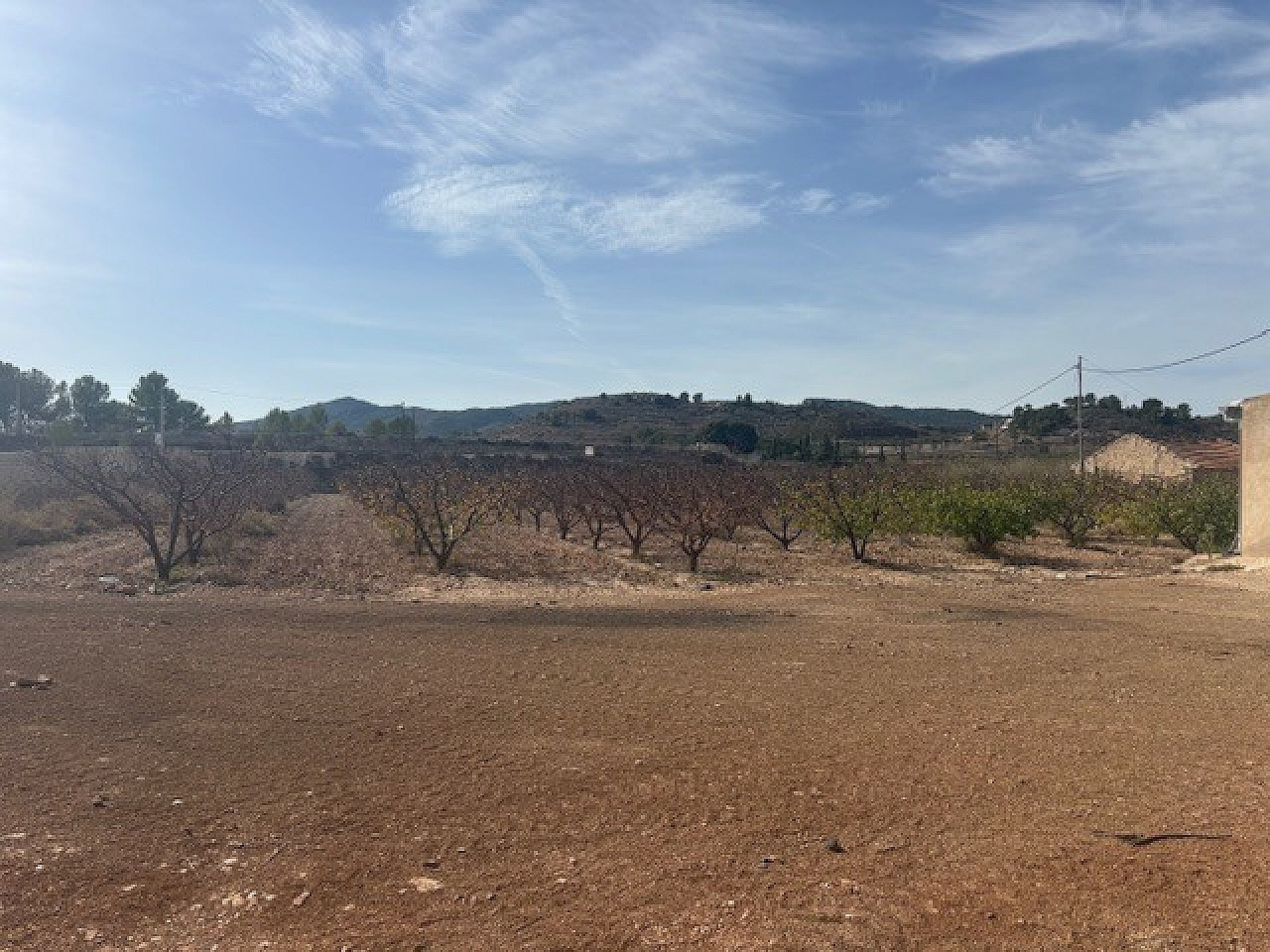 Land In Monovar, Spain (11.000 M² Plot)