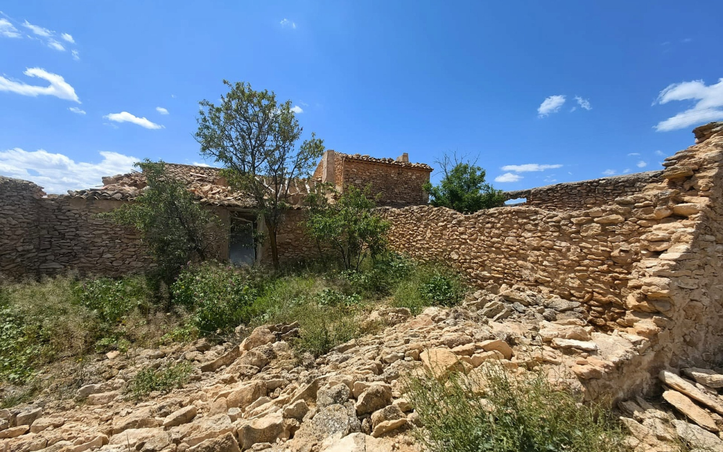 Land In Pinoso, Spain (10.000 M² Plot)
