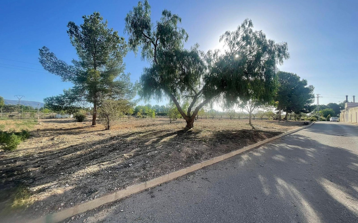 Land In Pinoso, Spain (1.160 M² Plot)