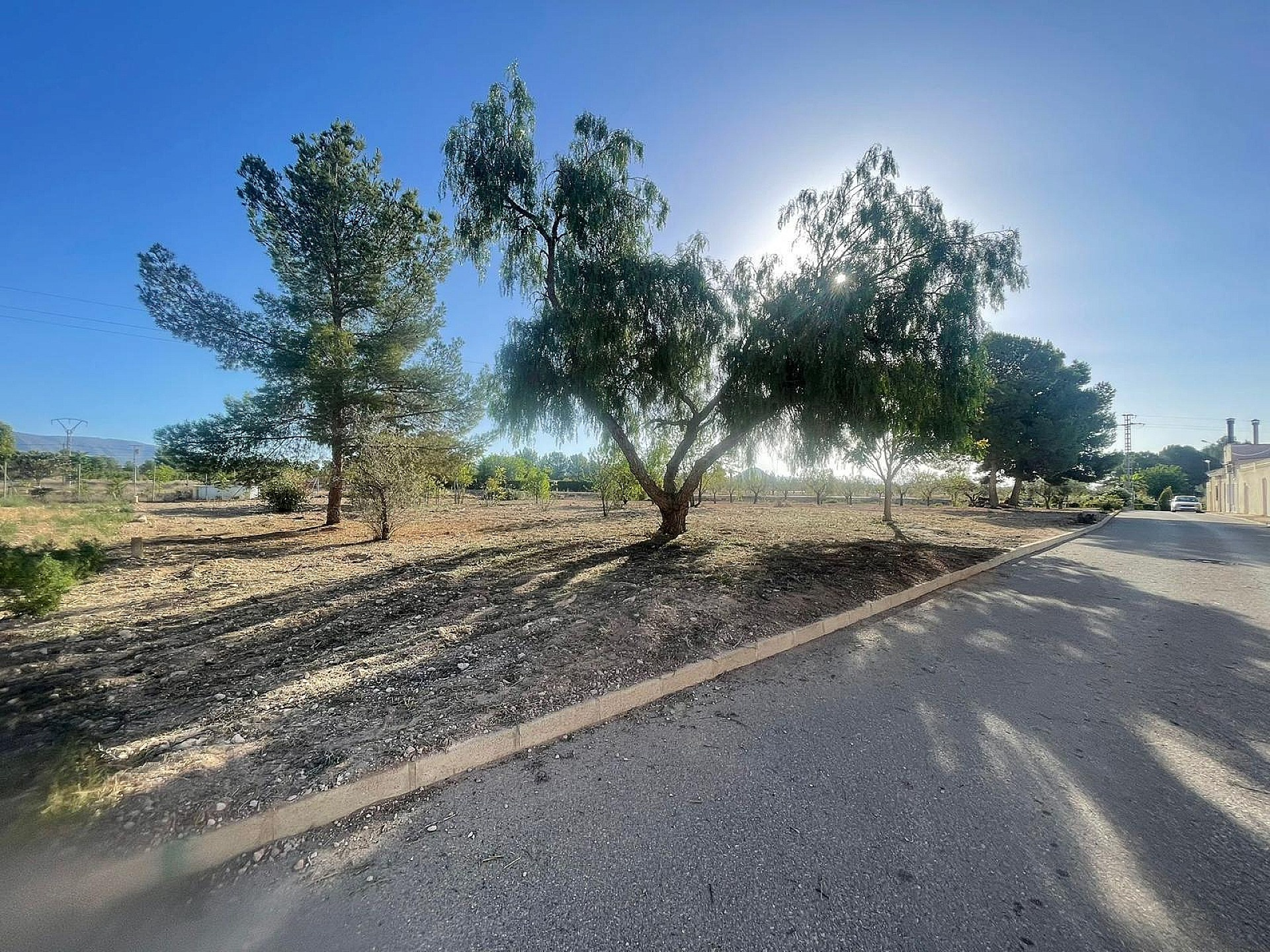 Land In Pinoso, Spain (1.160 M² Plot)