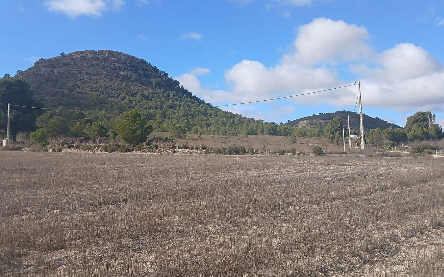 Land In Yecla, Spain (110.312 M² Plot)