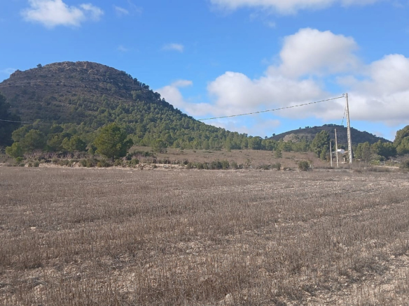 Land In Yecla, Spain (110.312 M² Plot)