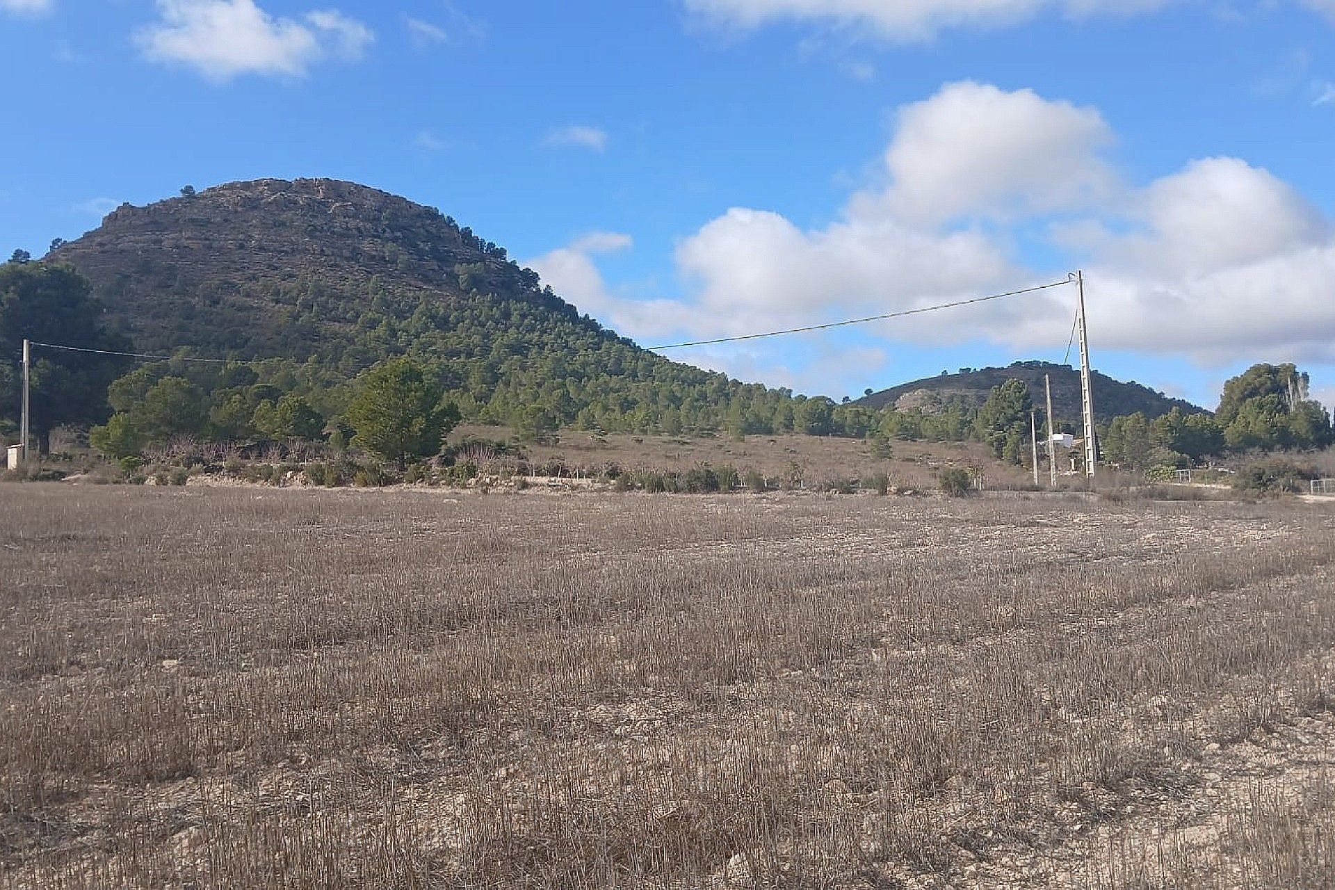 w_qkhj48o8bodwcnvr0jsc-824509 Land In Yecla, Spain (110.312 M² Plot)