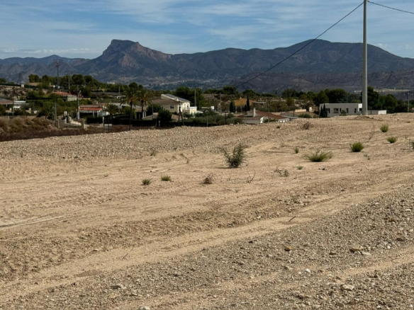 Land In Monovar, Spain (11.000 M² Plot)
