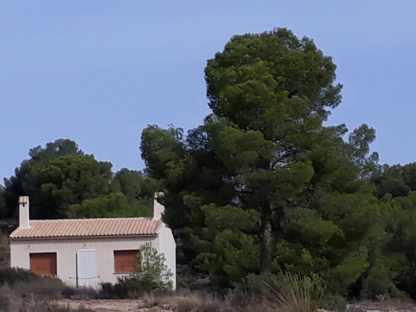 2-bedroom Country House In Pinoso, Spain (70 M²)