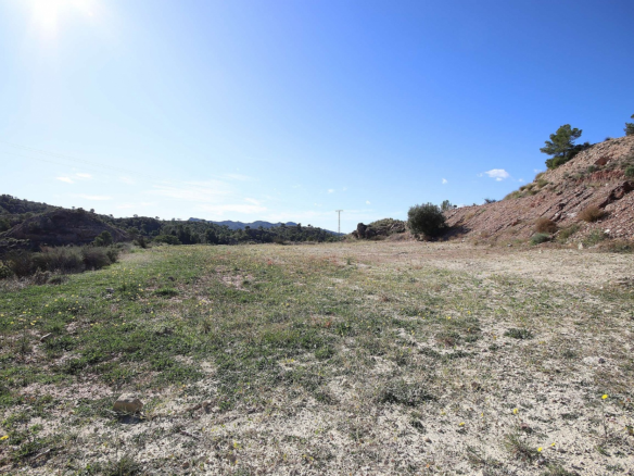 Land In Abanilla, Spain (8.000 M² Plot)