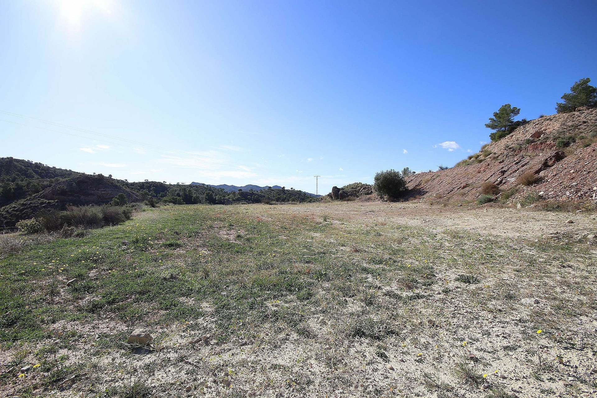 w_sahhp36t6ehkncf6nemd-9626ff Land In Abanilla, Spain (8.000 M² Plot)