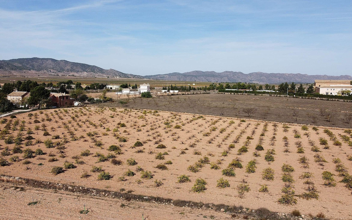 Land In Pinoso, Spain (10.000 M² Plot)
