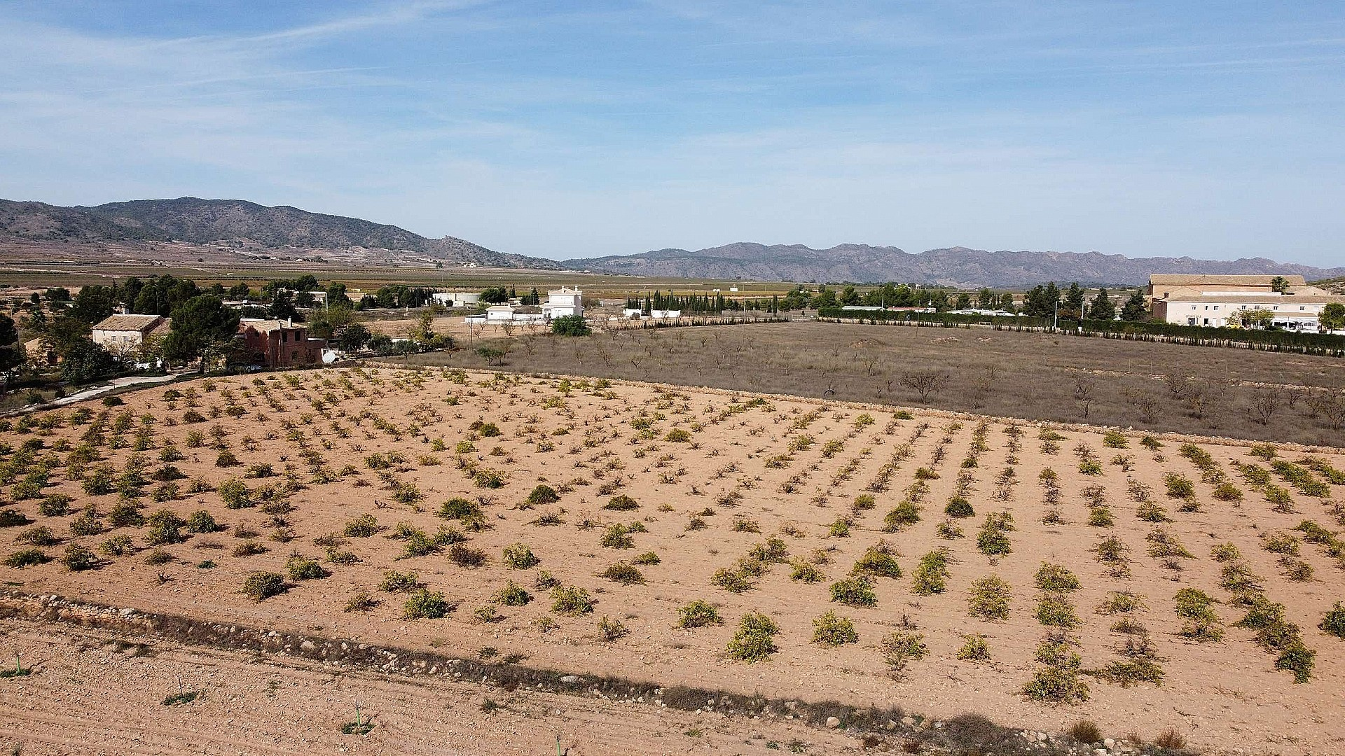 w_se2b26qxbq52ak3jbw8v-87725e Land In Pinoso, Spain (10.000 M² Plot)