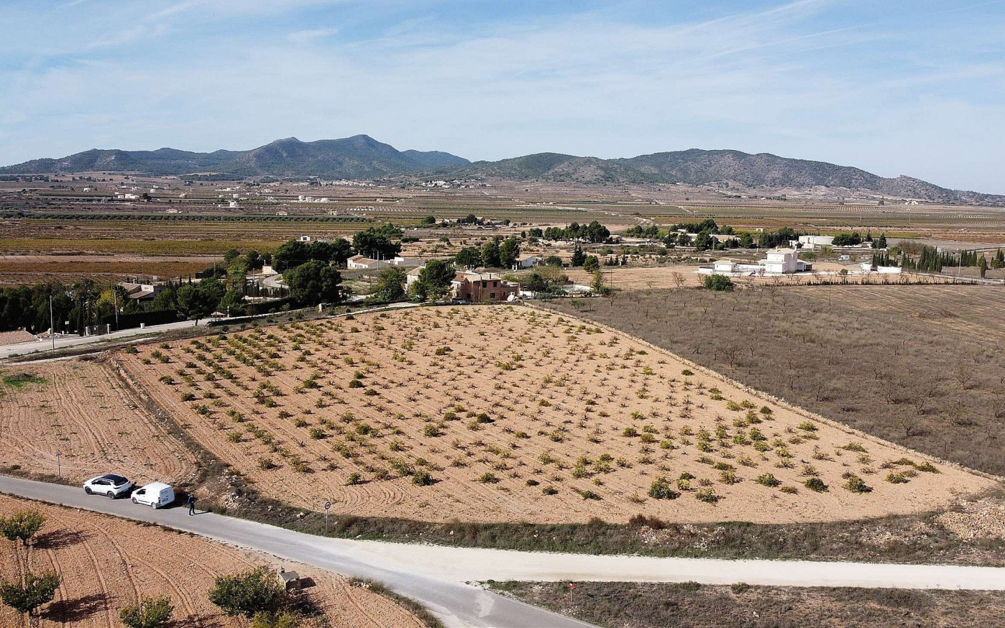 Land In Pinoso, Spain (10.000 M² Plot)