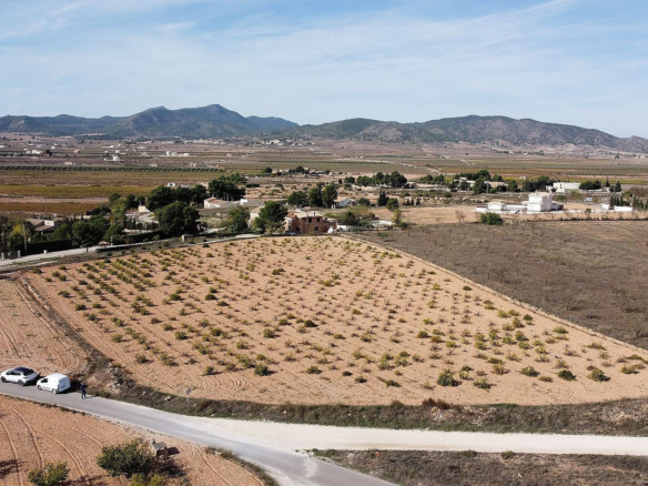 Land In Pinoso, Spain (10.000 M² Plot)