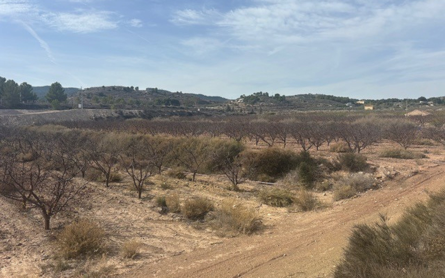 Land In Monovar, Spain (25.000 M² Plot)