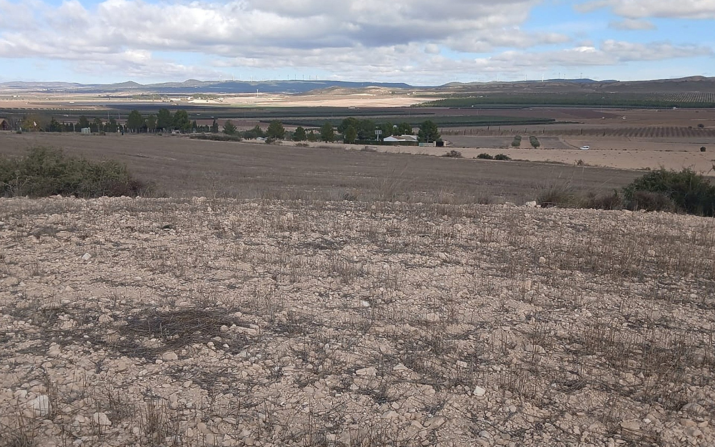 Land In Yecla, Spain (110.312 M² Plot)