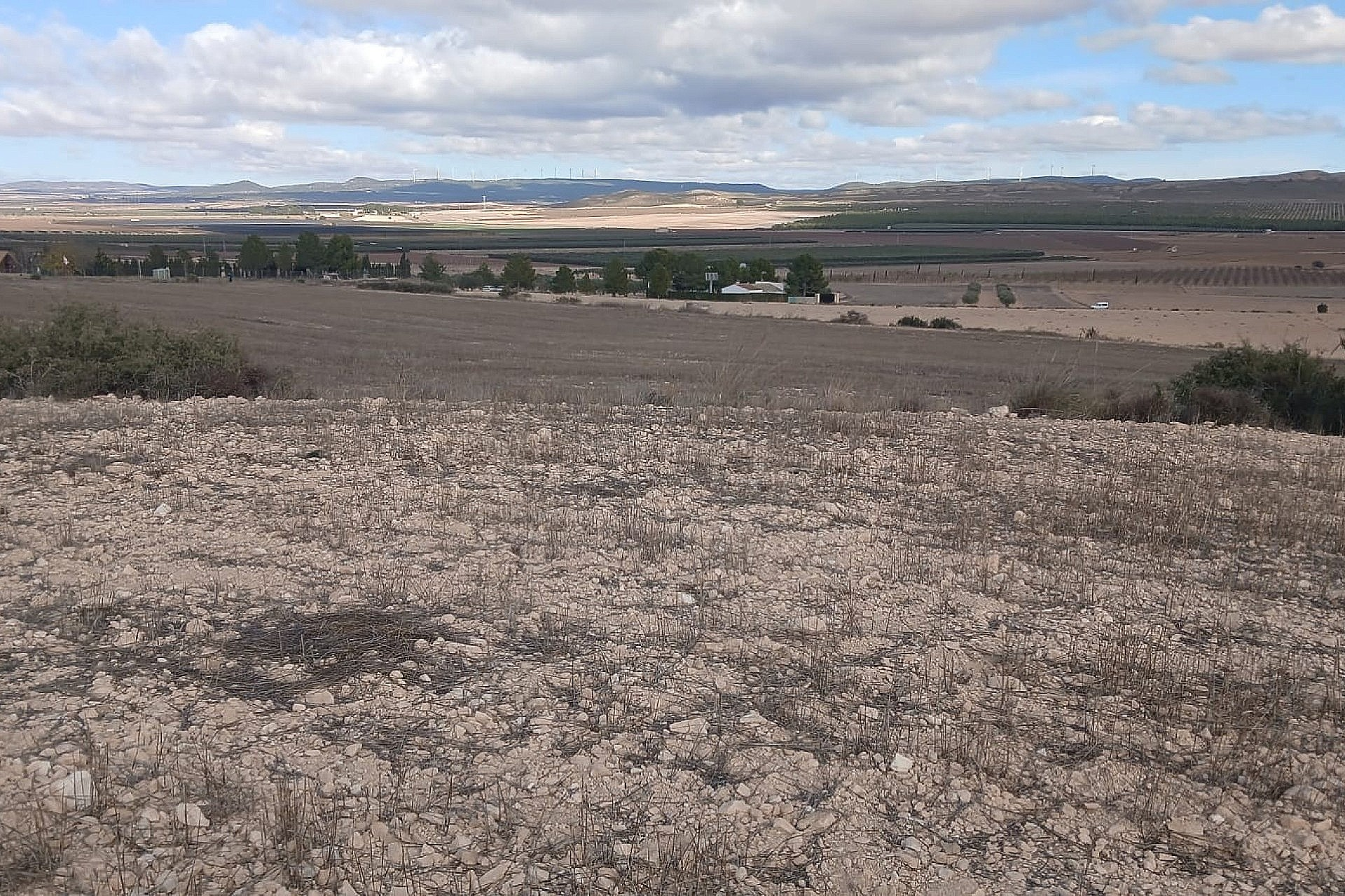 w_ssmqfir0wycb6tmen84v-997c3f Land In Yecla, Spain (110.312 M² Plot)